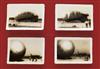 (AVIATION) U.S. Air Force album depicting high altitude balloons manufactured by the Firestone Tire and Rubber Co.,
